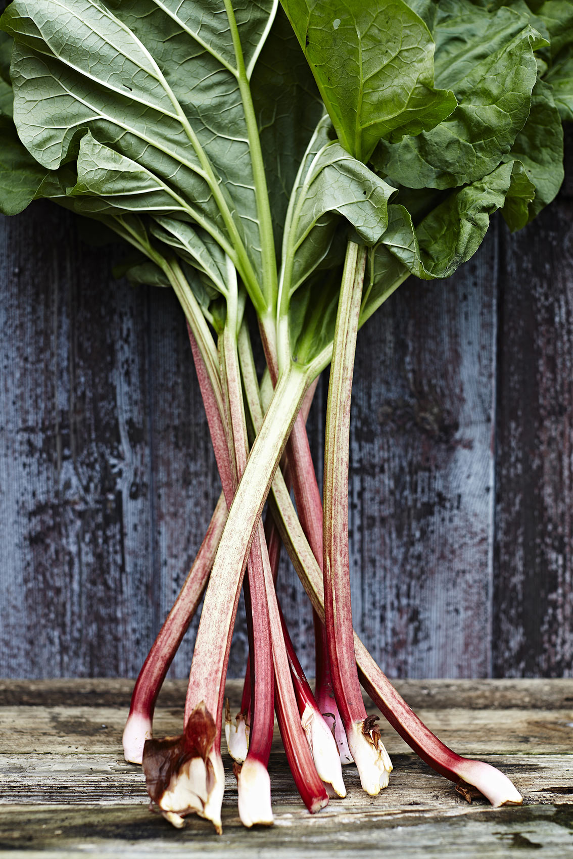 26-food_freshly_pulled_rhubarb